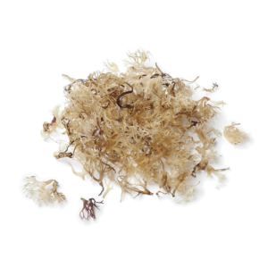 Irish sea moss