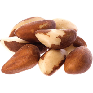 brazil nut