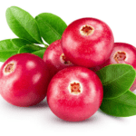 The Health Benefits of Cranberries: A Nutrient Powerhouse